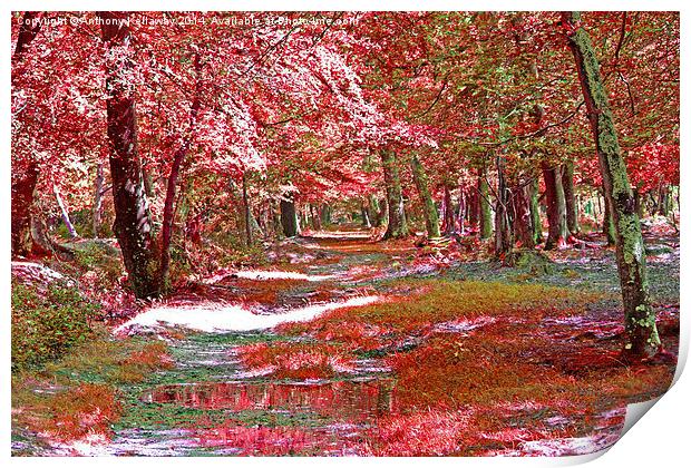AUTUMN VIEW Print by Anthony Kellaway