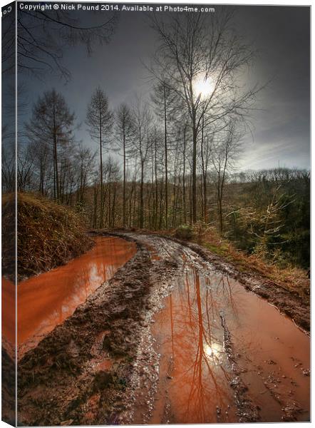 Red Mud Canvas Print by Nick Pound
