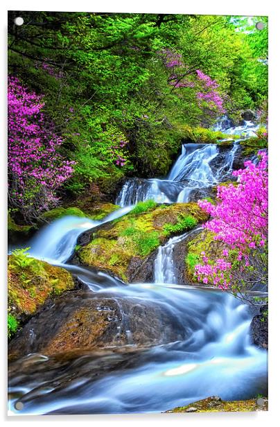 Ryuzu Falls Acrylic by Jonah Anderson Photography