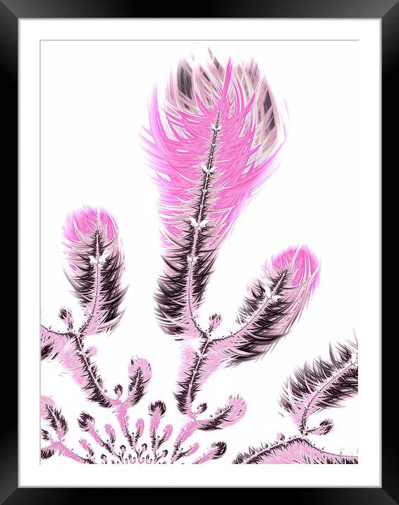 Pink fractal flower art Framed Mounted Print by Matthias Hauser