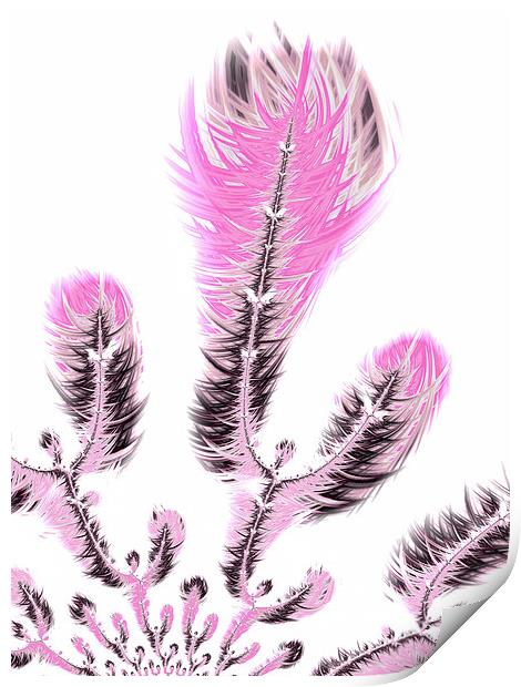 Pink fractal flower art Print by Matthias Hauser