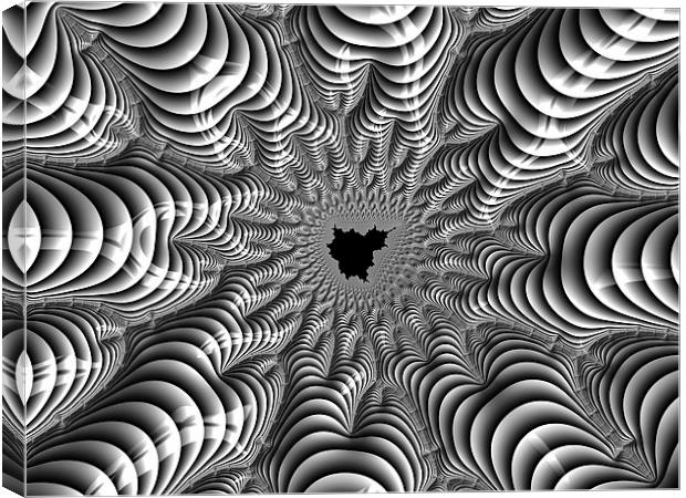 Mandelbrot fractal art black white Canvas Print by Matthias Hauser