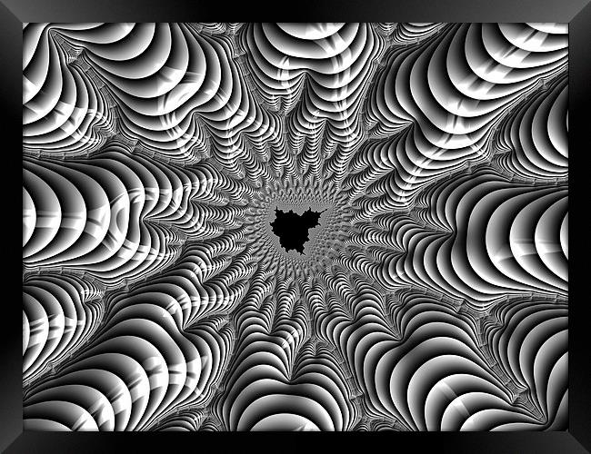 Mandelbrot fractal art black white Framed Print by Matthias Hauser