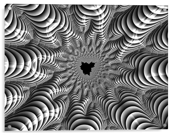Mandelbrot fractal art black white Acrylic by Matthias Hauser
