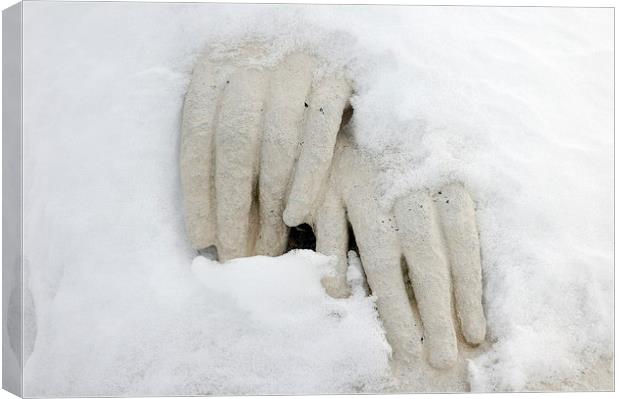 Cold and peaceful snow hands Canvas Print by Matthias Hauser