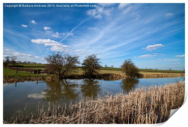 Along the canal Print by Barbara Ambrose