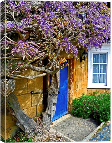Wisteria Cottage Canvas Print by Jason Williams
