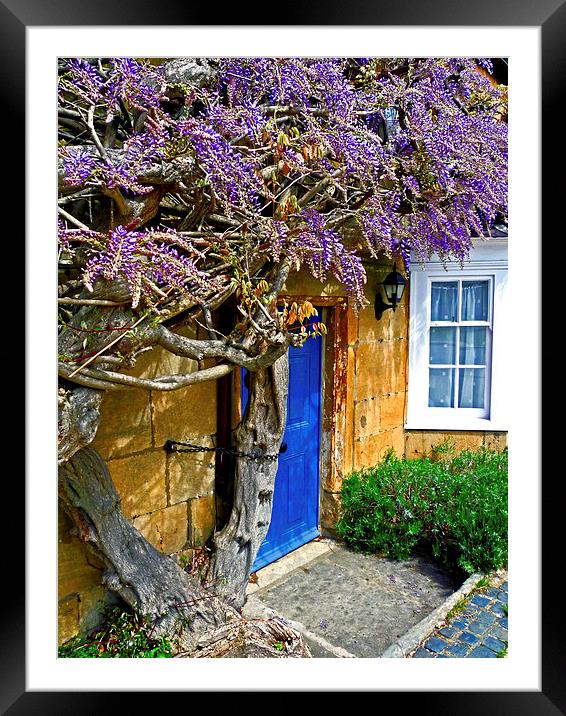 Wisteria Cottage Framed Mounted Print by Jason Williams