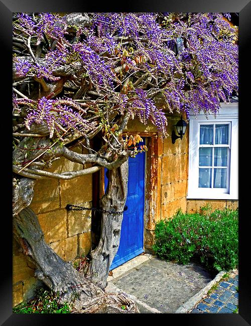 Wisteria Cottage Framed Print by Jason Williams