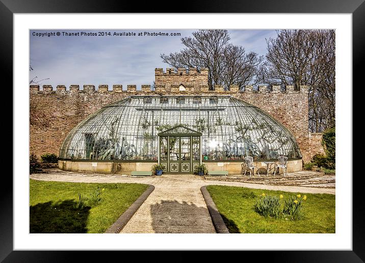 The Greenhouse Framed Mounted Print by Thanet Photos