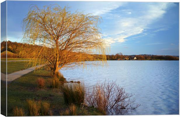 Rother Valley Country Park Canvas Print by Darren Galpin