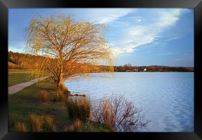 Rother Valley Country Park Framed Print by Darren Galpin