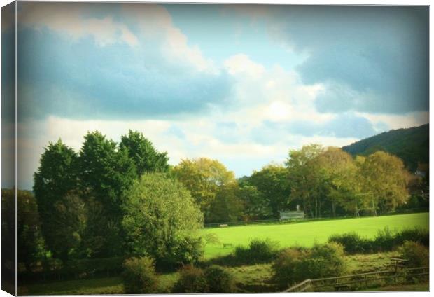 Green Fields and Wide Open Spaces. Canvas Print by Heather Goodwin