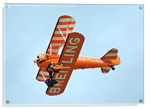 Breitling Wing Walkers Acrylic by Peter Farrington