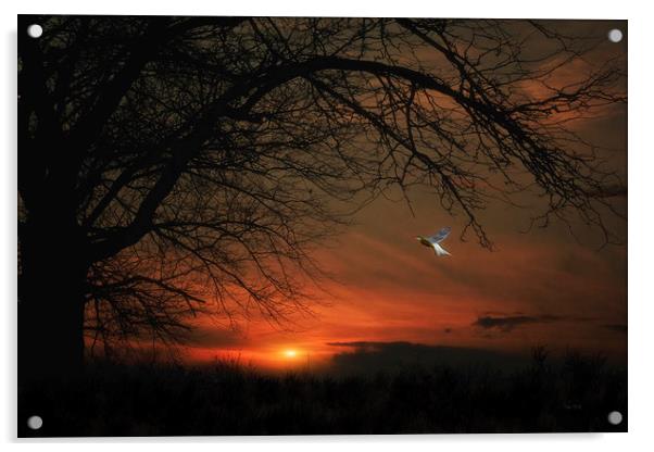 SUBURBAN SUNSET Acrylic by Tom York