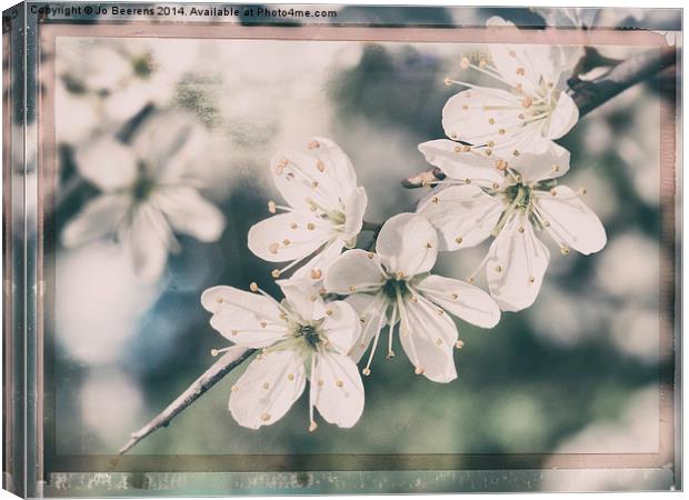 blossom flower tree Canvas Print by Jo Beerens