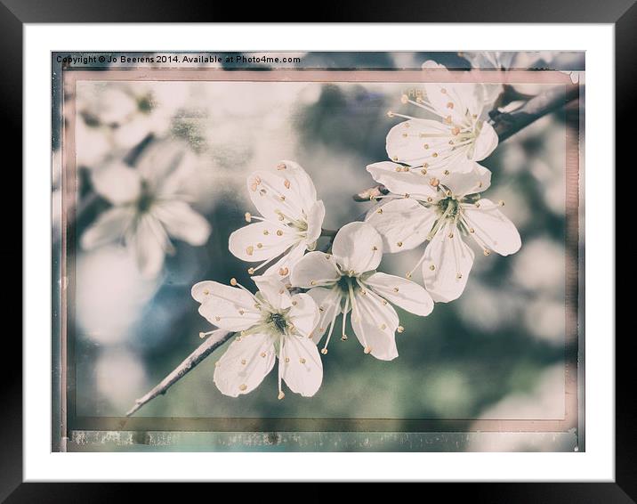 blossom flower tree Framed Mounted Print by Jo Beerens