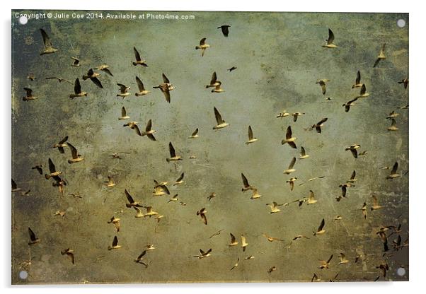 Seagulls Acrylic by Julie Coe