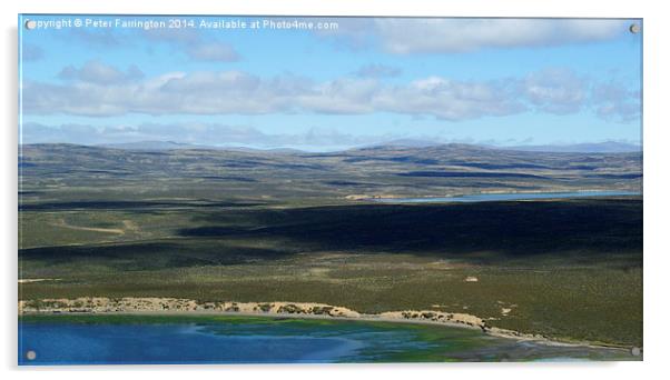 Falkland Islands Acrylic by Peter Farrington