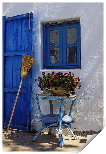 Blue and broom Print by Digby Merry