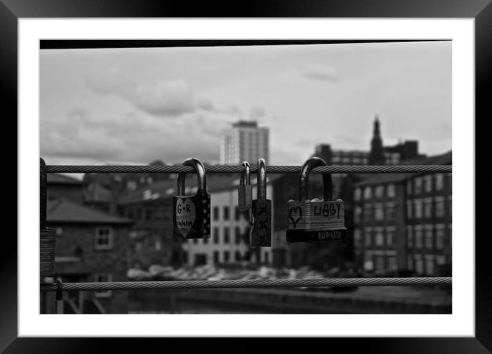 Love Seal on Aire's Bridge Framed Mounted Print by Steven Dale