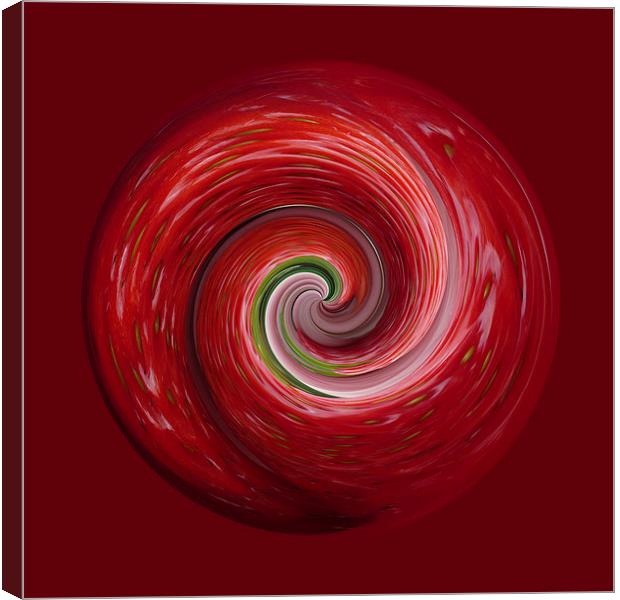Strawberry ripple Canvas Print by Robert Gipson