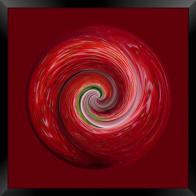 Strawberry ripple Framed Print by Robert Gipson