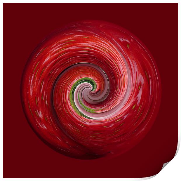 Strawberry ripple Print by Robert Gipson