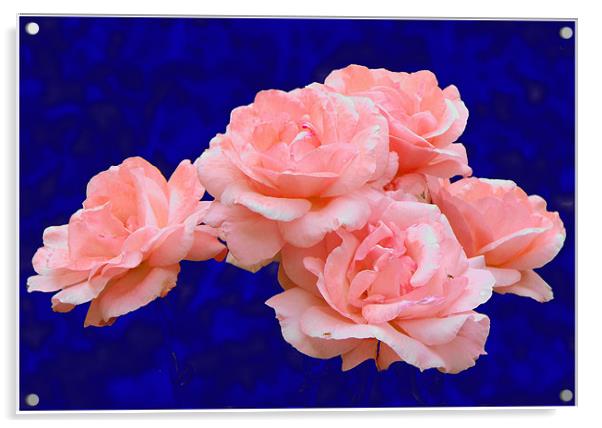 Rose Bunch Acrylic by Ferenc Kalmar