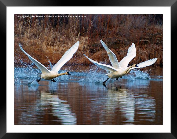 Water Dance Framed Mounted Print by Mike Dawson