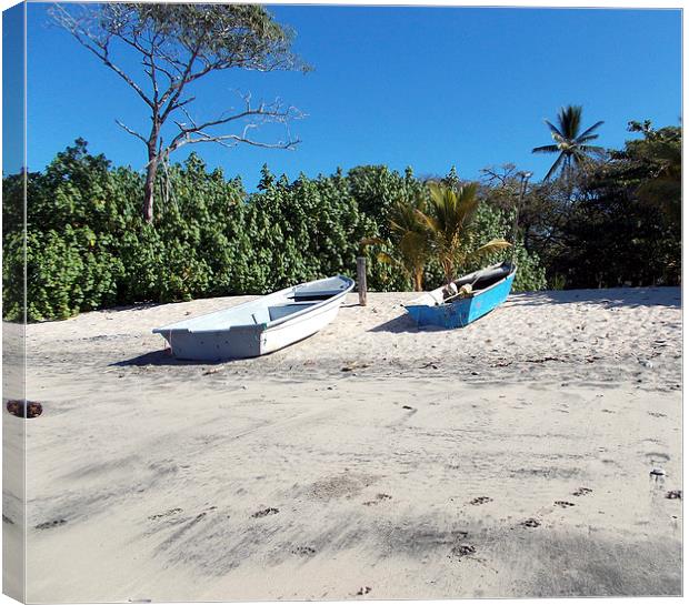 Steep Beach Canvas Print by james balzano, jr.