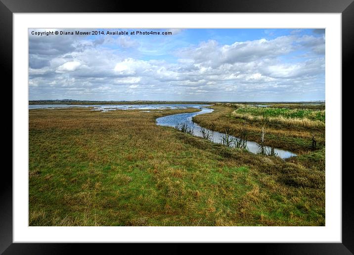 Tollesbury Marshes Framed Mounted Print by Diana Mower