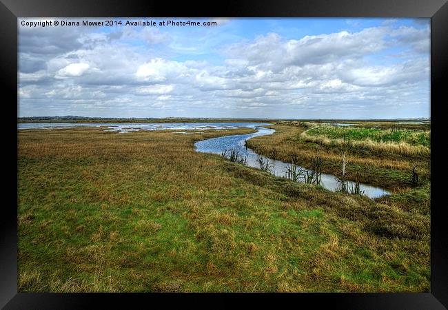 Tollesbury Marshes Framed Print by Diana Mower