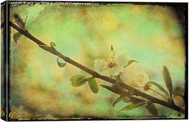 Springtime Blossom Canvas Print by Julie Coe