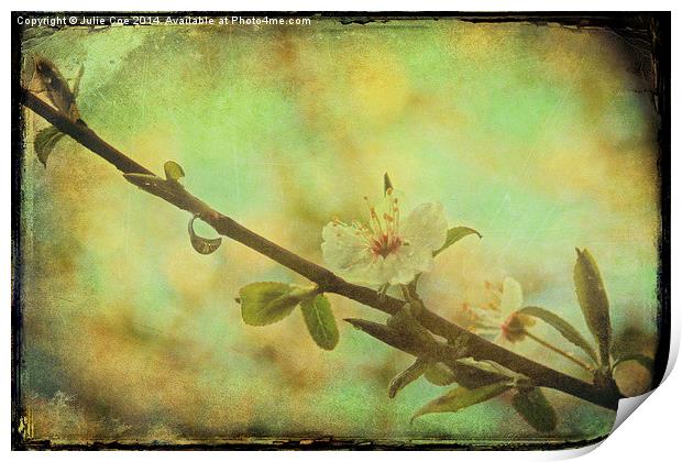 Springtime Blossom Print by Julie Coe