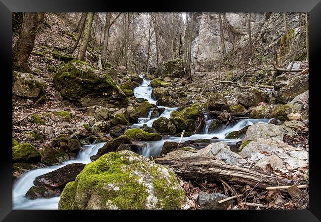 Water stream in Zadielska valley Framed Print by Laco Hubaty