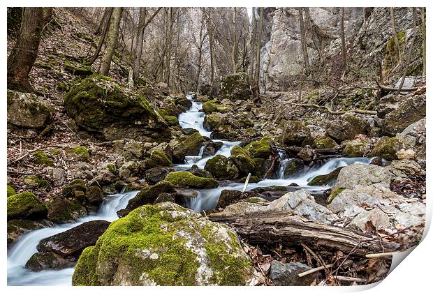 Water stream in Zadielska valley Print by Laco Hubaty
