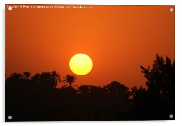 Sunset over the Nile Acrylic by Peter Farrington