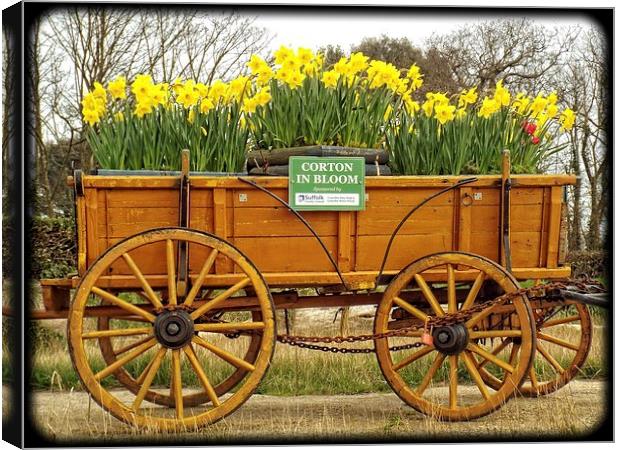 Wagon full of Gold Canvas Print by chrissy woodhouse