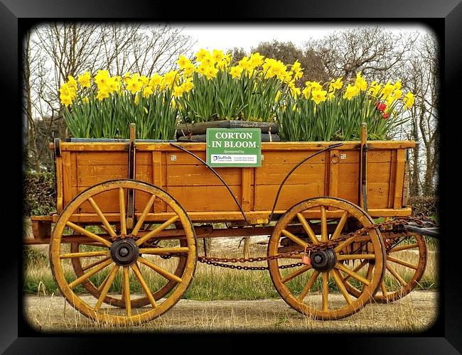 Wagon full of Gold Framed Print by chrissy woodhouse