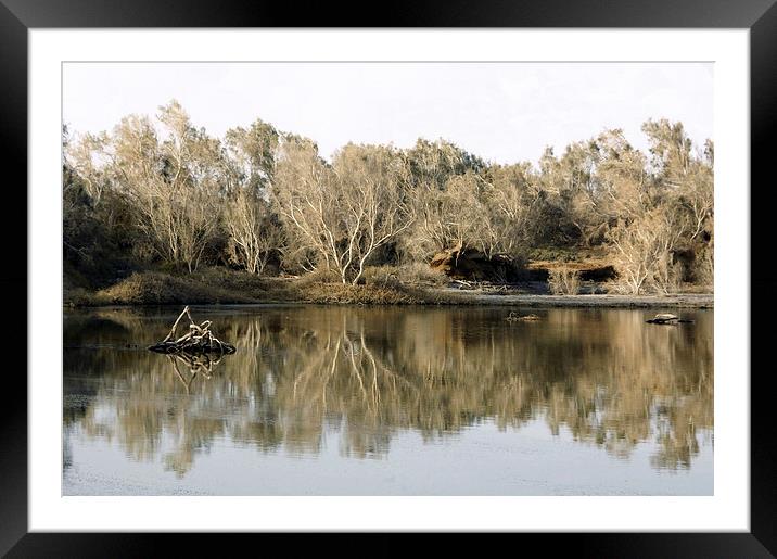 Saline Lagoon Framed Mounted Print by Jacqueline Burrell