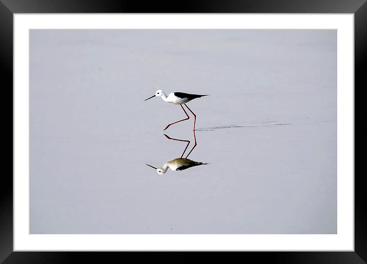 Best Foot Forward 1 Framed Mounted Print by Jacqueline Burrell