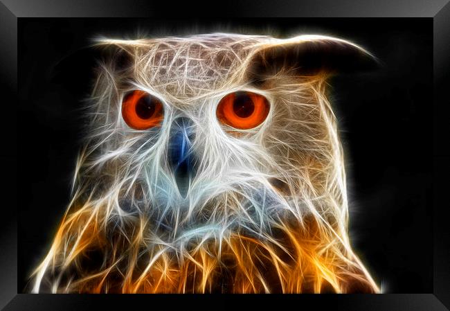 Owl fractal art Framed Print by Matthias Hauser