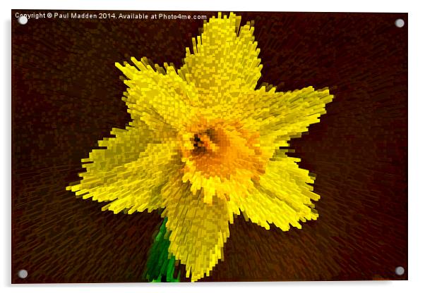 Way of the exploding daffodil Acrylic by Paul Madden