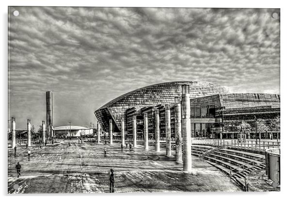 Wales Millennium Centre Mono Acrylic by Steve Purnell