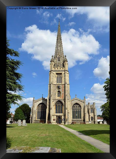 Saffron Walden Church Framed Print by Diana Mower