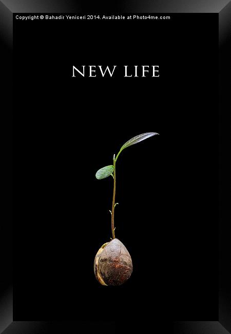 New Life Framed Print by Bahadir Yeniceri