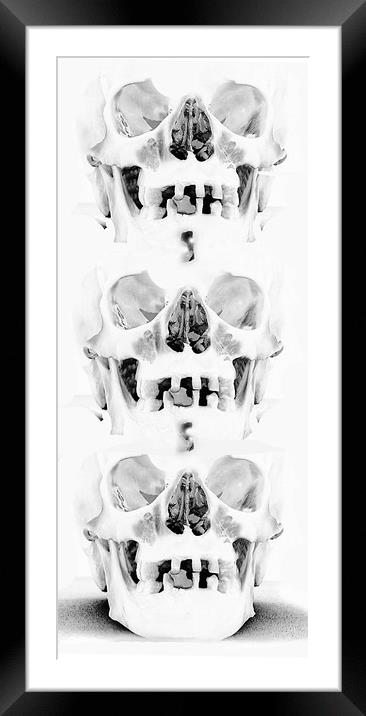 Skulls in Negative. Framed Mounted Print by Becky Dix