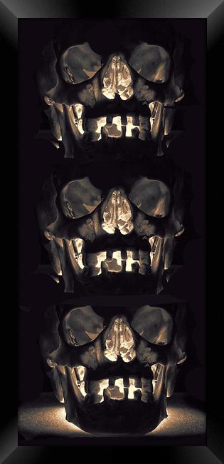 Balancing Skulls. Framed Print by Becky Dix