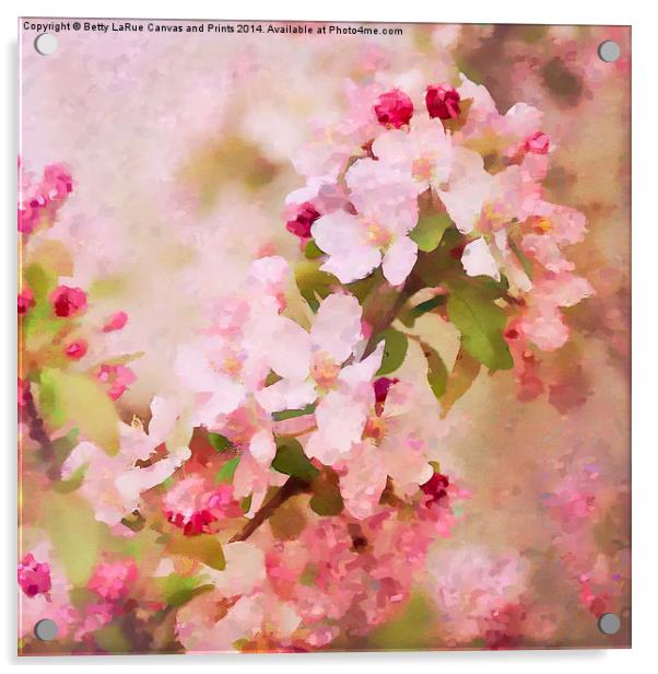 Spring Pink Acrylic by Betty LaRue